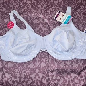 Radiant Vanity Fair 44DD Bra
